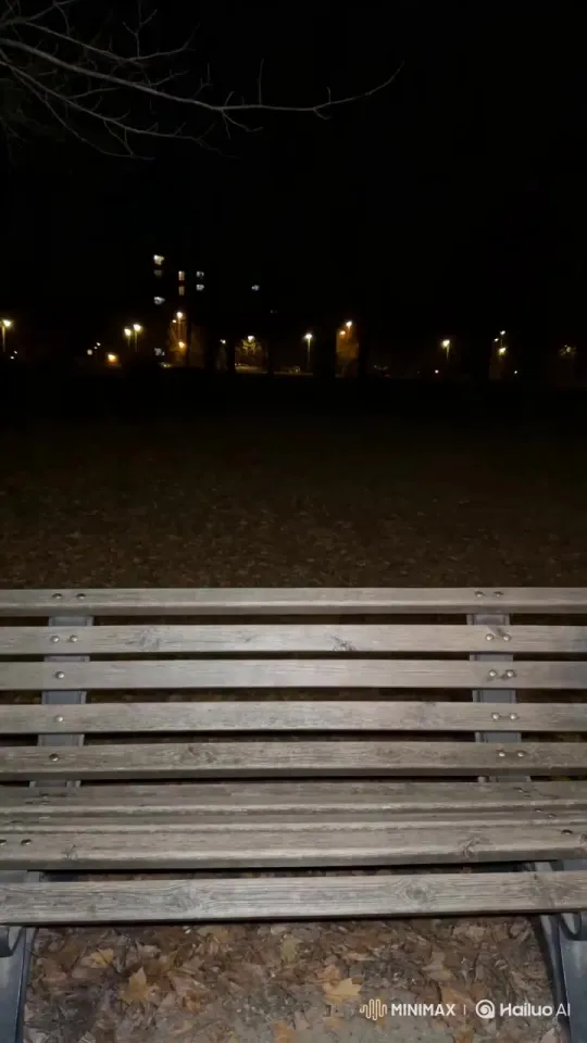 上传照片，生成你的喷火开瓶酷炫生日视频