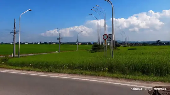 视频展示了道路旁生机勃勃的绿色田野，天空湛蓝，白云悠闲地飘浮。远处点缀着几座低矮的建筑物和细长的电线杆，勾勒出一幅宁静的乡村画卷。路边，现代的路灯矗立，与传统的限速标志相映成趣，提醒着过往车辆注意安全。在前景中，一个井盖静静地躺在路面上，成为这个动态场景中的静止元素，仿佛诉说着过往的故事。整个视频通过移动的视角，捕捉了自然与人文景观的完美融合，让人感受到旅途中的宁静与美好。 by Hailuo AI Video Generator