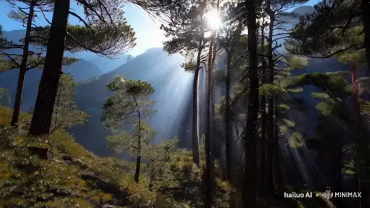 山间的松林中，阳光透过树梢洒下了斑驳的光影，松枝上垂挂着晶莹的露珠，让这片森林更加神秘而美丽。 by Hailuo AI Video Generator