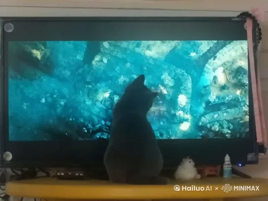  by Hailuo AI Video Generator