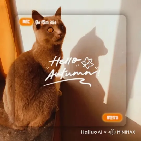 镜头跟随猫咪跳下窗台，走进一片宇宙，两秒后猫咪出现在一片蓝色的铃兰花园中。眼怀爱意的望着一个小女孩。 by Hailuo AI Video Generator