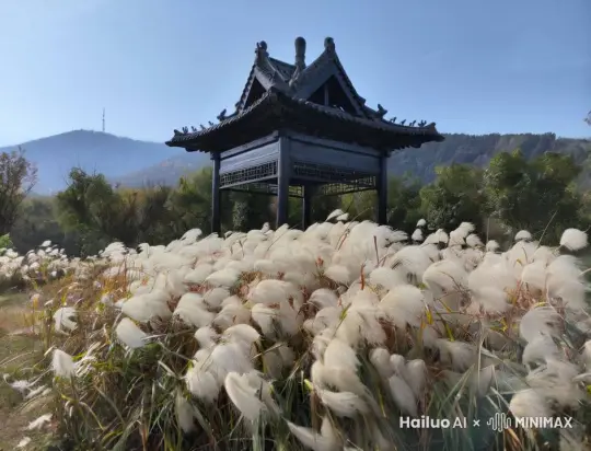 1. 开场镜头（0:00 - 0:30）
画面：从远处缓缓推进到图片中的场景，展示雾气弥漫的环境。
音效：轻柔的背景音乐，自然环境音效（如鸟鸣、风声）。
2. 人物登场（0:30 - 1:30）
画面：聚焦在站在石墙上的人物，展示其全身形象。
音效：背景音乐稍微增强，加入轻微的脚步声。
3. 环境细节（1:30 - 2:30）
画面：切换到周围的树木、雾气等细节镜头，展示环境的静谧和美丽。
音效：自然音效为主，如树叶的沙沙声、远处的鸟鸣。
4. 人物动作（2:30 - 3:30）
画面：人物稍微移动，改变姿势，或者做出一些简单的动作，如抬头看天。
音效：背景音乐继续保持，轻微的动作音效。
5. 总结镜头（3:30 - 4:30）
画面：回到远景，展示整个场景的全貌，逐渐拉远。
音效：背景音乐渐渐减弱，自然音效继续。
6. 结束画面（4:30 - 5:00）
画面：定格在图片中的场景，或者缓慢淡出到黑色。
音效：背景音乐结束，留下自然音效，逐渐淡出。 by Hailuo AI Video Generator