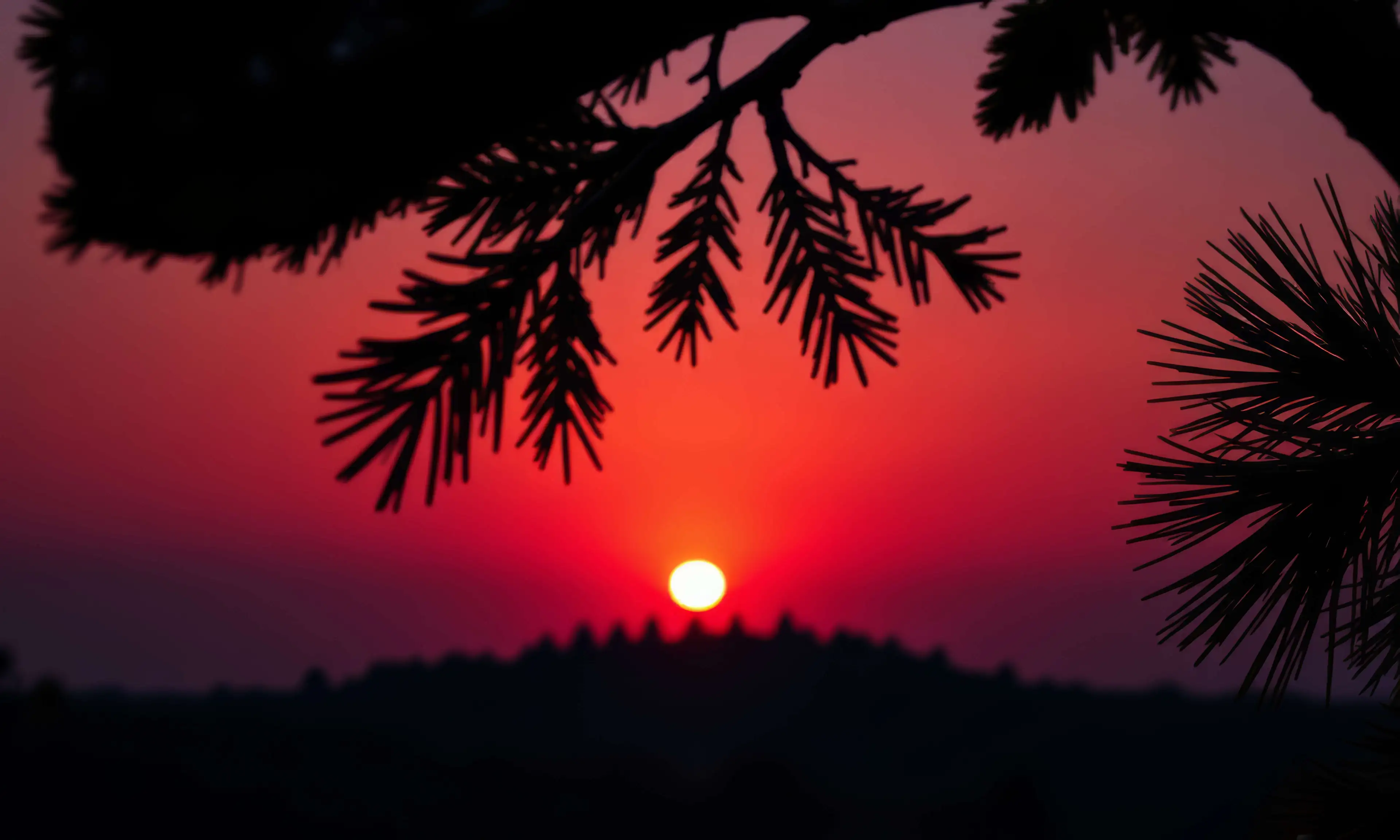 tracking-frame-icon