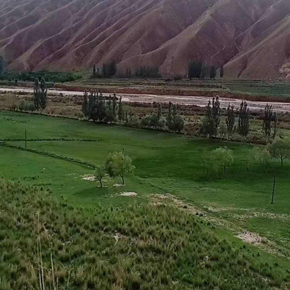 video original by Hailuo AI Video Generator