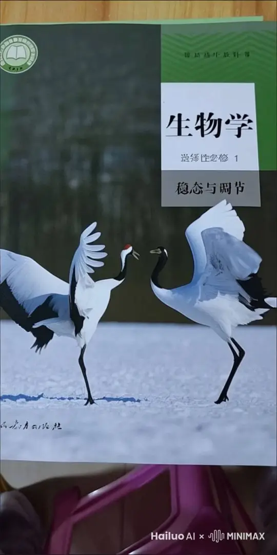 两只丹顶鹤翩翩起舞 by Hailuo AI Video Generator
