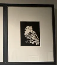 tracking-frame-icon