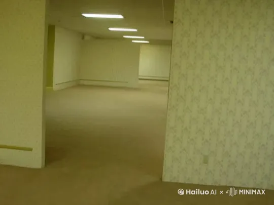 无人机高速穿梭在这片地方，前面都是类似的地方 by Hailuo AI Video Generator