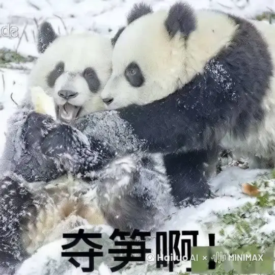 一只熊猫多另一只熊猫手中的笋 by Hailuo AI Video Generator