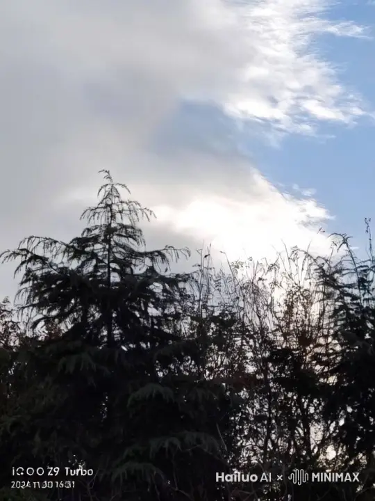东风夜放花千树，更吹落星如雨 by Hailuo AI Video Generator