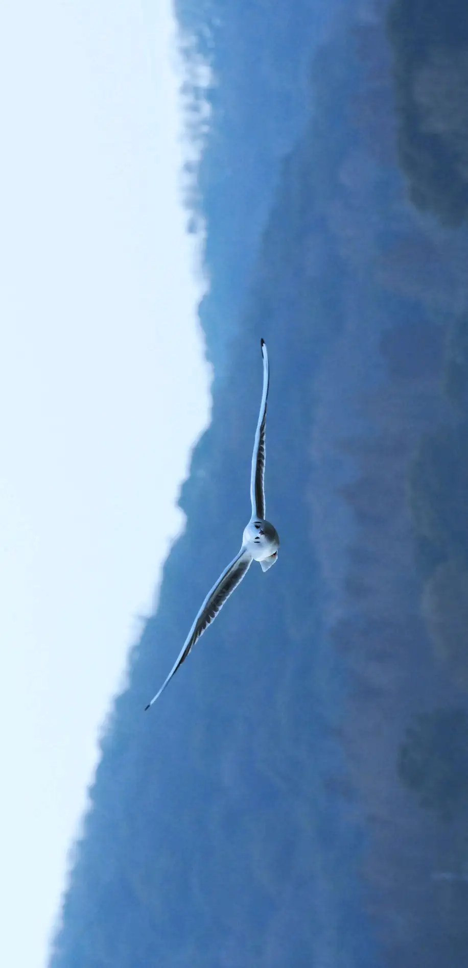 tracking-frame-icon