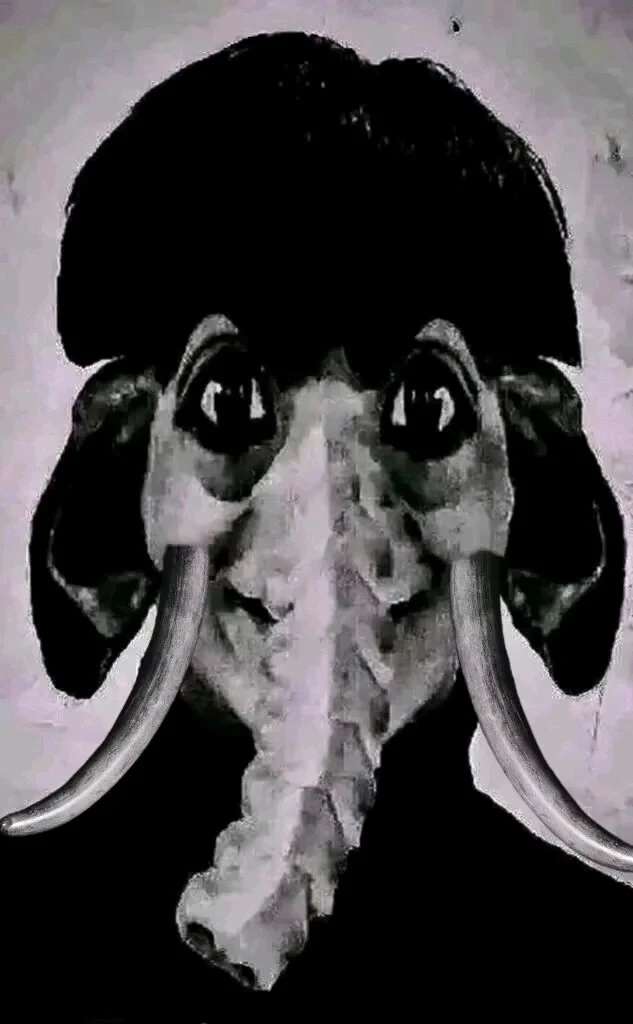 video original by Hailuo AI Video Generator