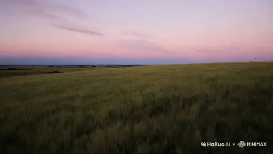 有些随风，有些入梦，有些长留心中的感觉 by Hailuo AI Video Generator
