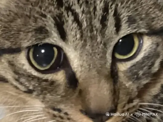 一只猫眨了一下眼睛，然后快乐的微笑，露出洁白无瑕且非常锋利的牙齿。请注意，这只猫的下半身是猫的身体。 by Hailuo AI Video Generator