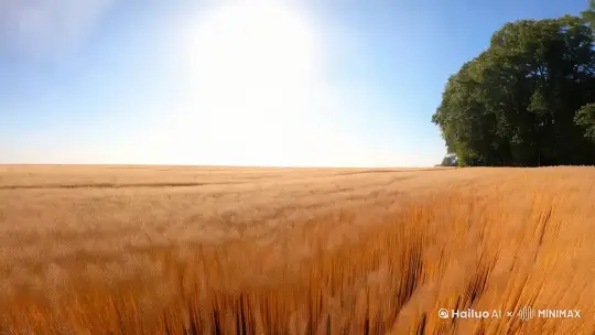 炎热的夏天，太阳光非常强烈，偶尔有一阵风吹过，镜头先落到金色的麦浪纸上，然后调转镜头，可以看到地头有一条乡间小路，几乎没有车辆经过；小路的两边各有一排杨树形成的树荫，树荫几乎没有阳光能穿过；几个小朋友在树荫下玩着游戏。 by Hailuo AI Video Generator