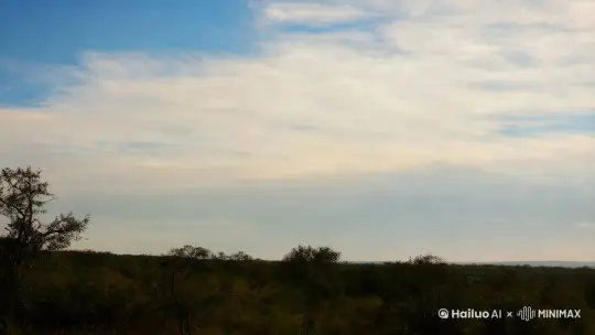 刚刚还晴空万里，一会儿功夫就暗了下来，突然，天空刮起了风，霎时，天全黑了下来。过了一会儿，大雨哗哗的落了下来。 by Hailuo AI Video Generator