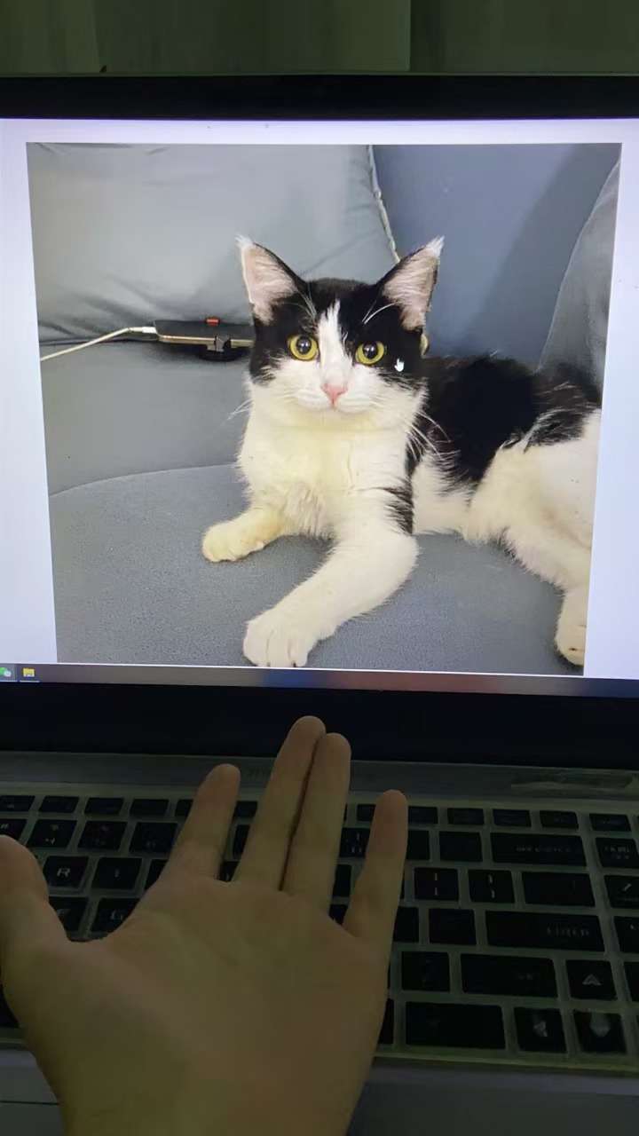 video original by Hailuo AI Video Generator