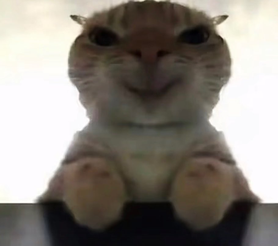 video original by Hailuo AI Video Generator