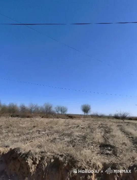 背景玫瑰花开放温柔的小姐姐走路 by Hailuo AI Video Generator