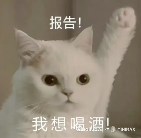 酒吧氛围感 by Hailuo AI Video Generator
