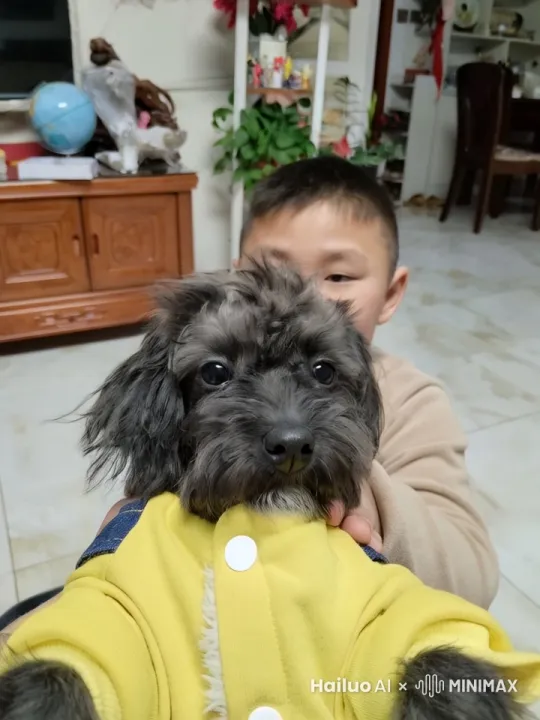 瞬间变成钢铁侠。 by Hailuo AI Video Generator