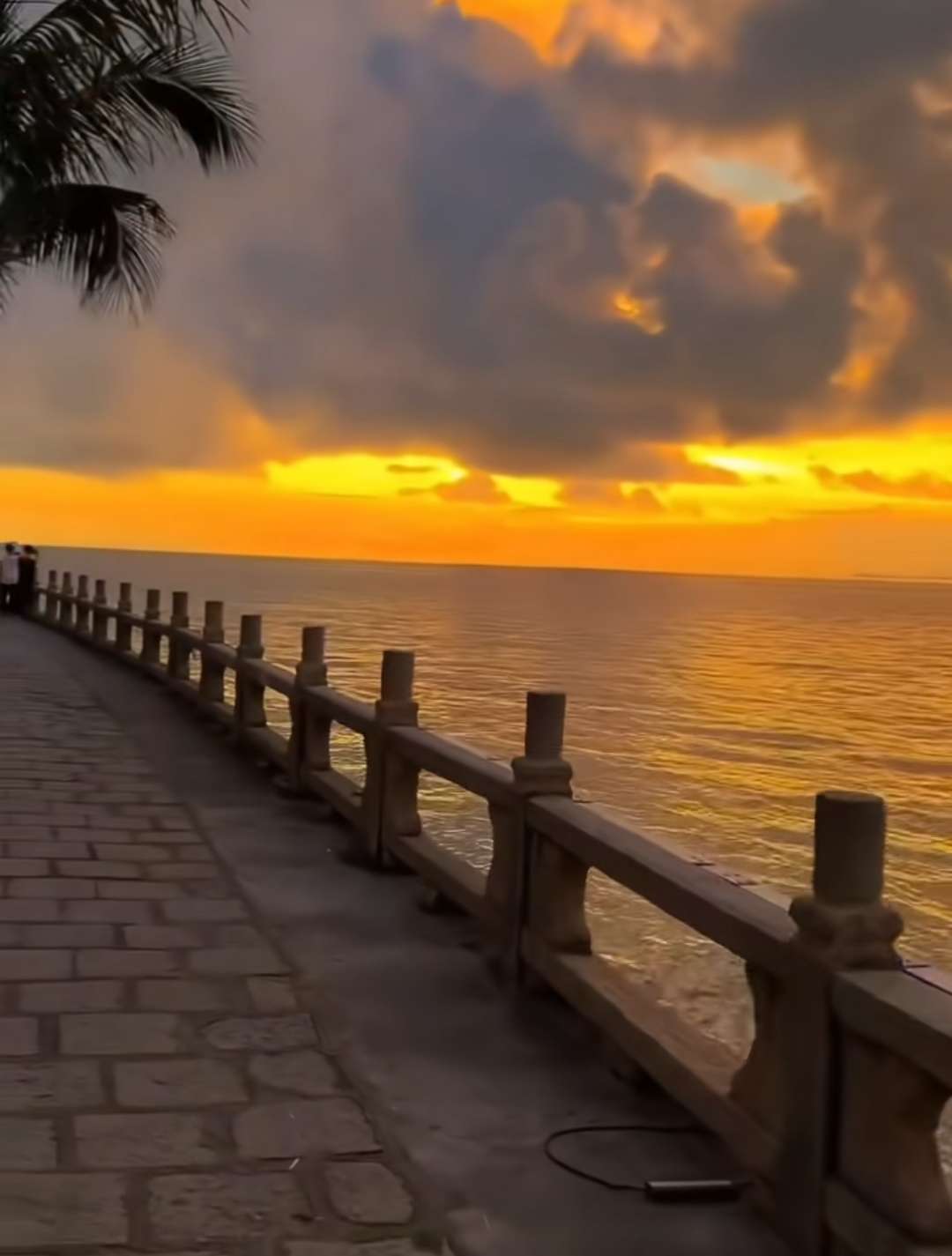 video original by Hailuo AI Video Generator
