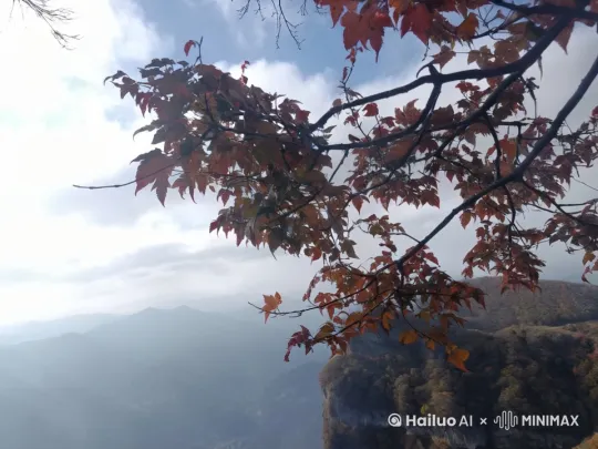  by Hailuo AI Video Generator