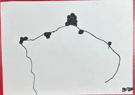 tracking-frame-icon