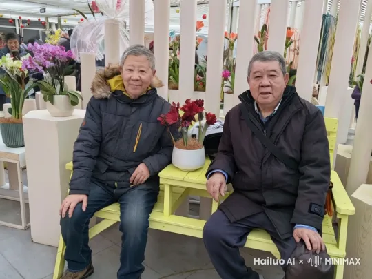 背景是春节晚会的大舞台，两人起立握手，拥抱，向观众挥手致意，然后化作粒子散去 by Hailuo AI Video Generator
