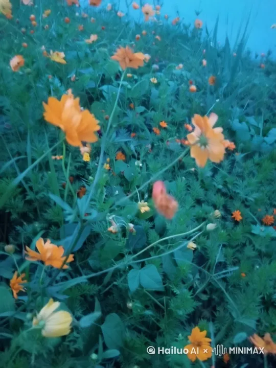 风吹花动 by Hailuo AI Video Generator