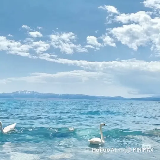 海浪层层递进。水鸟在水面栖息，天上云朵十分缓慢移动 by Hailuo AI Video Generator