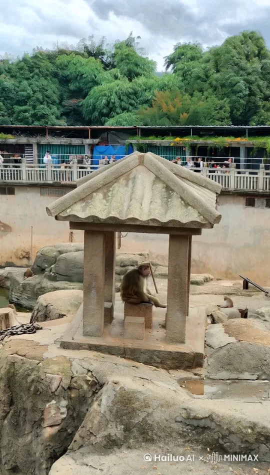 开场镜头：
画面：展示原始图片中的猴子坐在石亭下。
旁白/字幕：在一座古老的石亭中，一只普通的猴子静静地坐着。
神秘变化：
画面：猴子身上开始出现金色的光芒，逐渐变得耀眼。
旁白/字幕：突然，一道神秘的光芒笼罩了它，猴子开始发生不可思议的变化。
变身过程：
画面：猴子的身体逐渐变大，毛发变得更加浓密和金色，脸上出现孙悟空特有的妆容。
旁白/字幕：它的身体开始变化，毛发变得浓密而金色，它正在变成传说中的齐天大圣。
装备出现：
画面：孙悟空的标志性装备，如金箍棒、战甲等，从光芒中逐渐显现。
旁白/字幕：随着变化的完成，孙悟空的装备也随之而来，金箍棒、战甲一一显现。
完全变身：
画面：猴子完全变成了孙悟空，手持金箍棒，威风凛凛地站在石亭中。
旁白/字幕：现在，它已不再是一只普通的猴子，而是威风凛凛的齐天大圣。
展示力量：
画面：孙悟空挥舞金箍棒，展示其强大的力量，周围环境因他的力量而发生变化。
旁白/字幕：孙悟空挥舞着金箍棒，展示着他无与伦比的力量。
观众反应：
画面：背景中的人群对孙悟空的出现感到惊讶和兴奋，纷纷拿出手机拍照。
旁白/字幕：围观的人们惊讶不已，纷纷拿出手机记录下这一奇迹时刻。
结尾镜头：
画面：孙悟空在石亭中摆出经典的战斗姿势，背景是围观的人群和美丽的自然景观。
旁白/字幕：齐天大圣孙悟空，再次证明了他的神话地位，让所有见证者都感到震撼。
主题升华：
画面：孙悟空逐渐消失在光芒中，留下一座空荡荡的石亭。
旁白/字幕：但神话总归是神话，孙悟空最终消失在光芒中，留下人们对传说的无限遐想。 by Hailuo AI Video Generator