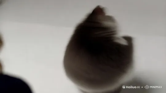 一秒转1000圈的小胖猫 by Hailuo AI Video Generator