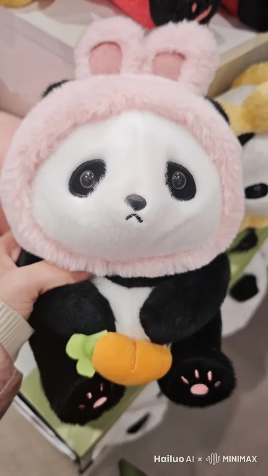 熊猫掉下眼泪，伸手要抱抱 by Hailuo AI Video Generator