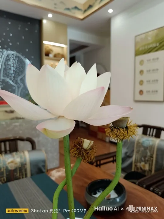 以图案为主体帮咱生成一份有关“山海经”异兽神话背景的视频 by Hailuo AI Video Generator