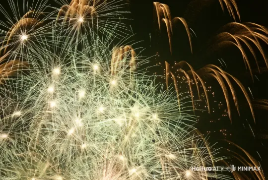 新年烟花绽放，里面在添加一些红色系 by Hailuo AI Video Generator