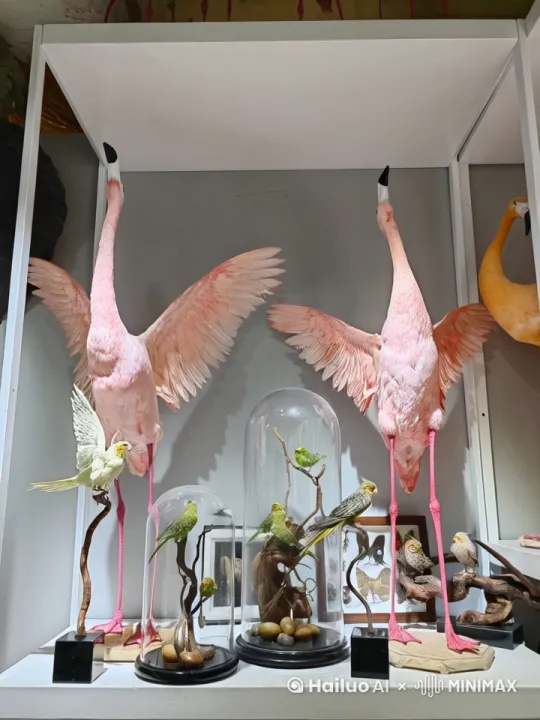 让这些鸟飞起来。
 by Hailuo AI Video Generator