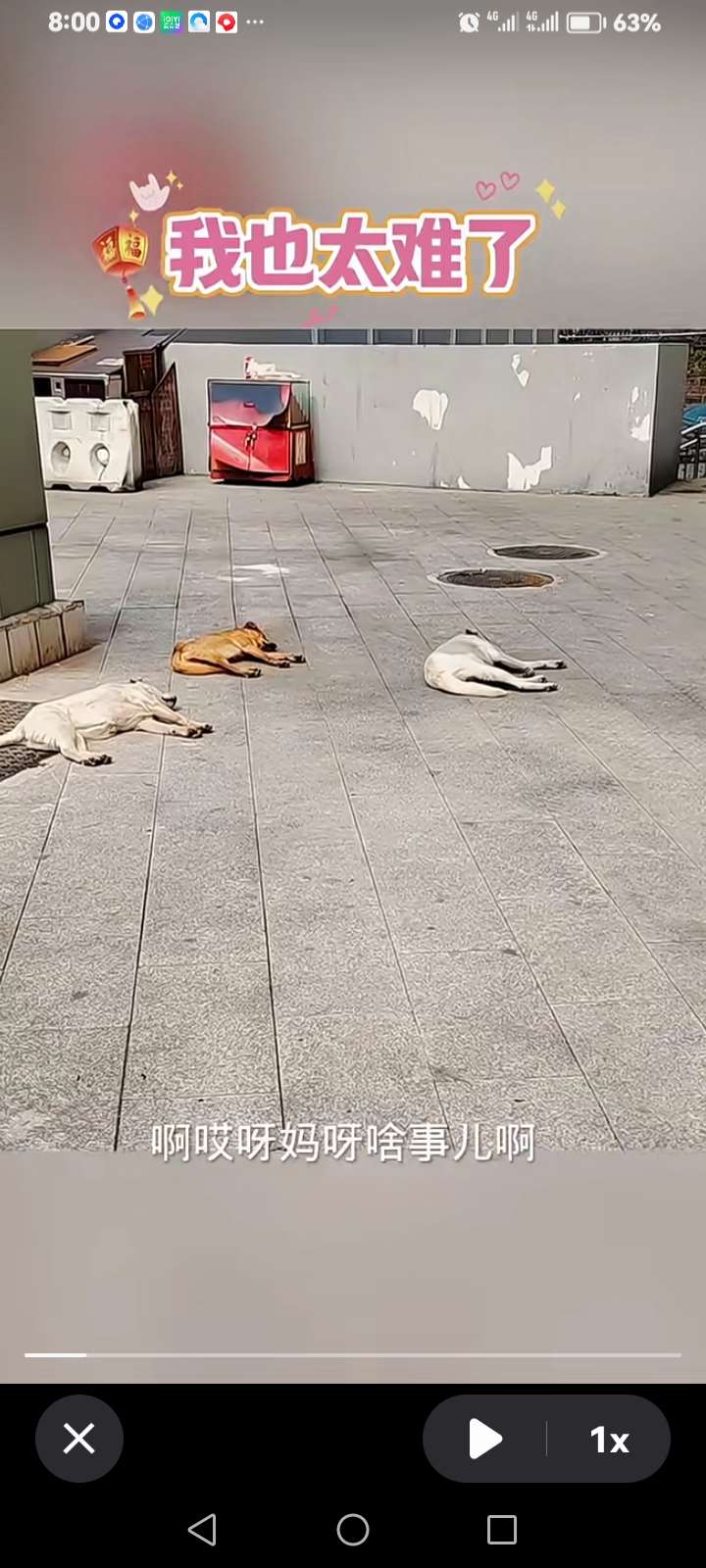 video original by Hailuo AI Video Generator