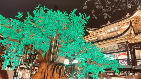 游玩 by Hailuo AI Video Generator