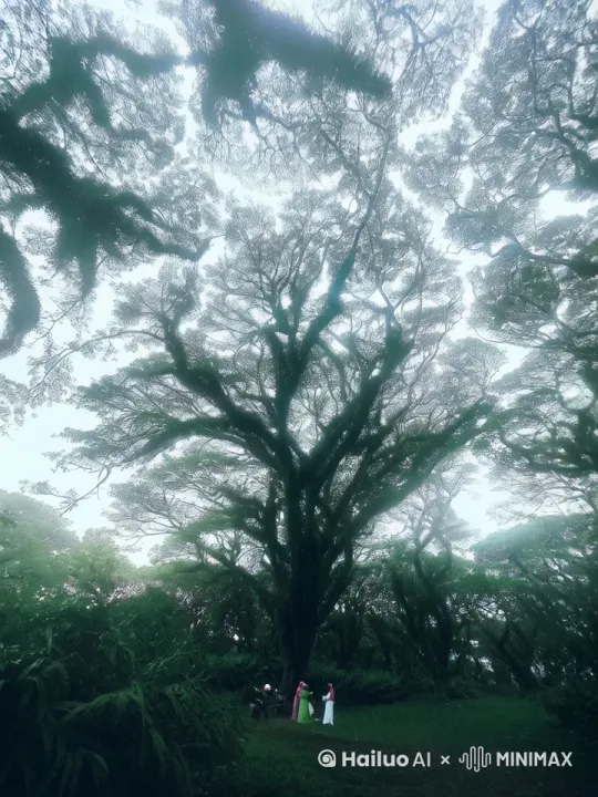 希望树枝能够随风摇曳 by Hailuo AI Video Generator