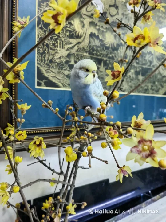 从远处飞过来落上枝头梳理羽毛。然后看向鱼缸里的小鱼。 by Hailuo AI Video Generator