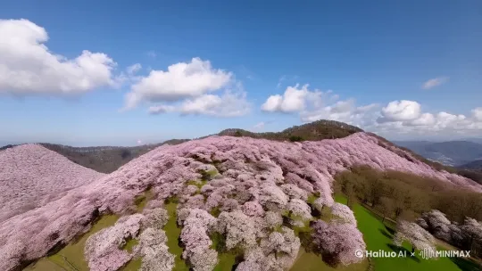 桃花开满群山，晴空白云，微风拂过山间的花海，飘落的花瓣随风飘扬。 by Hailuo AI Video Generator