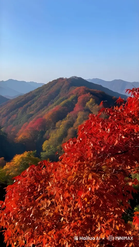 秋季，巫山便被红叶覆盖，漫山遍野的红叶如同燃烧的火焰，将整个山脉装点得如诗如画。巫山红叶以其品种多、分布广、周期长而闻名 by Hailuo AI Video Generator