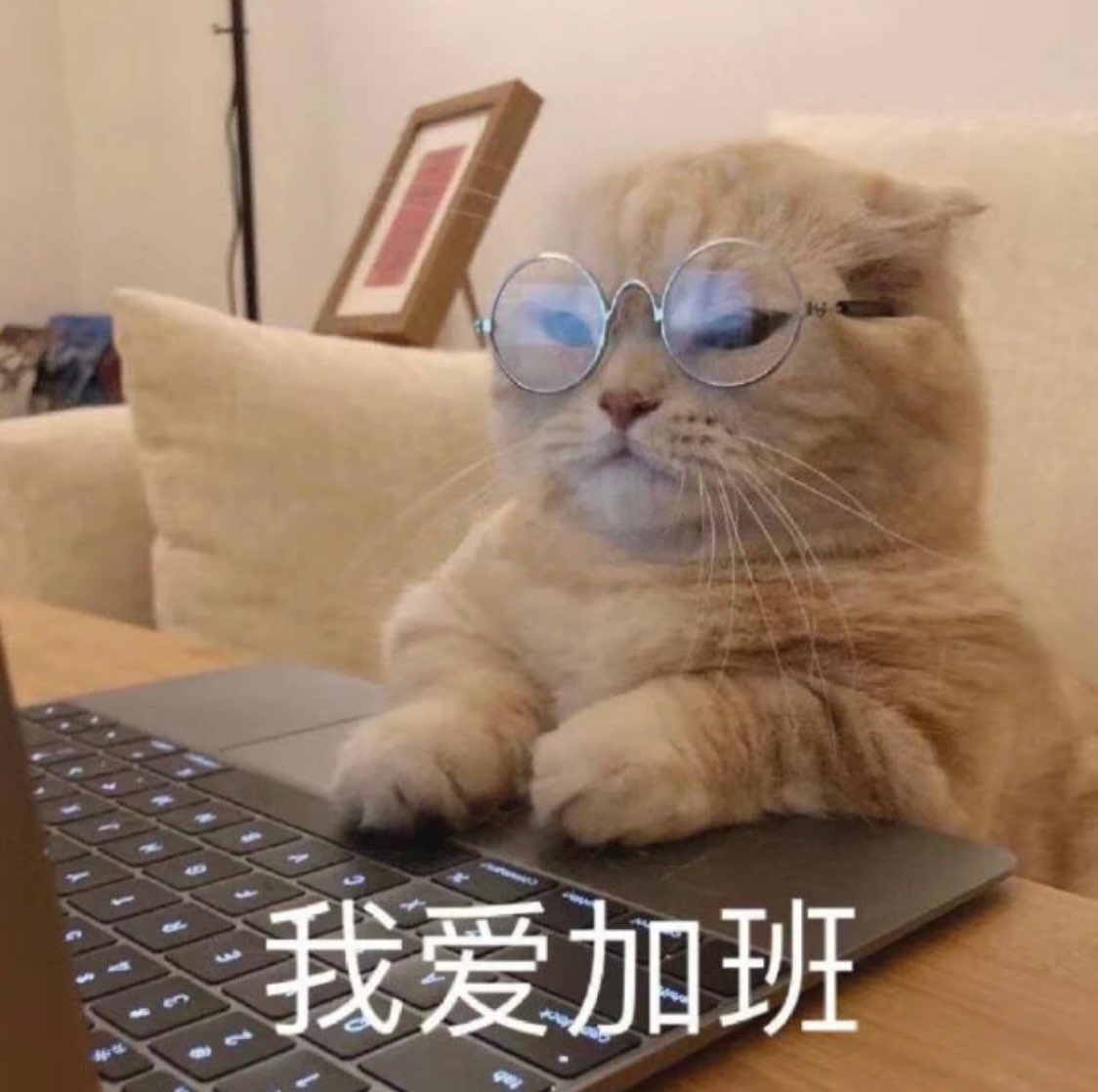 video original by Hailuo AI Video Generator