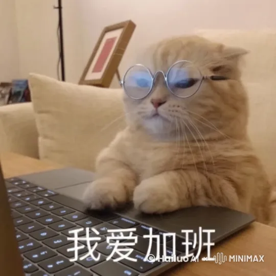一只猫在敲键盘打字推眼镜 by Hailuo AI Video Generator