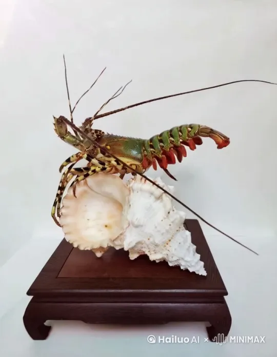 在白色的贝壳上面是一只侧面的龙虾， by Hailuo AI Video Generator