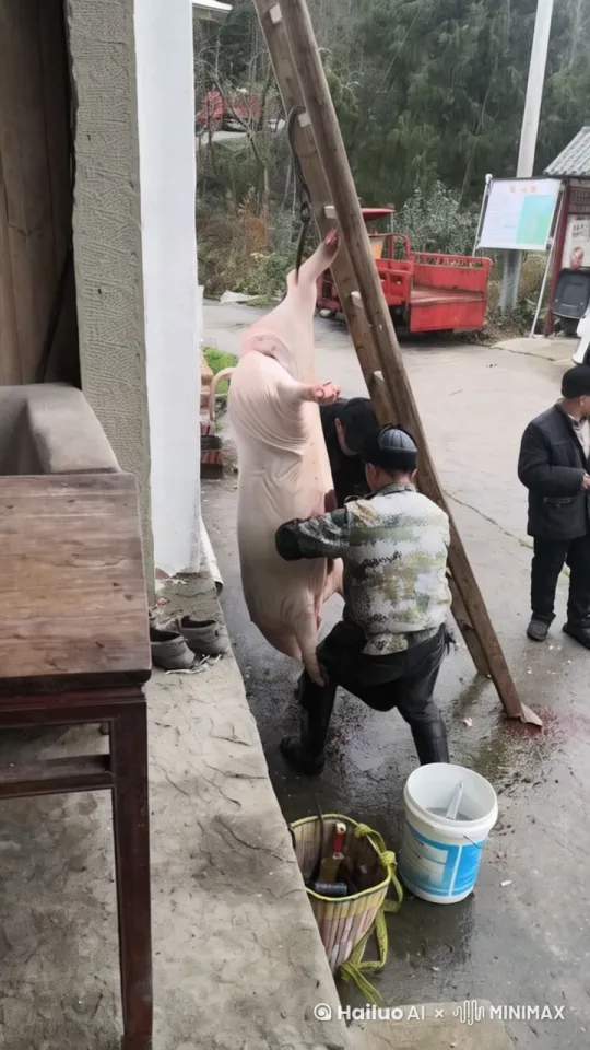 杀猪佬把猪杀后就把猪生吃了 by Hailuo AI Video Generator