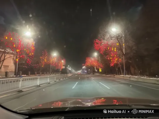  by Hailuo AI Video Generator