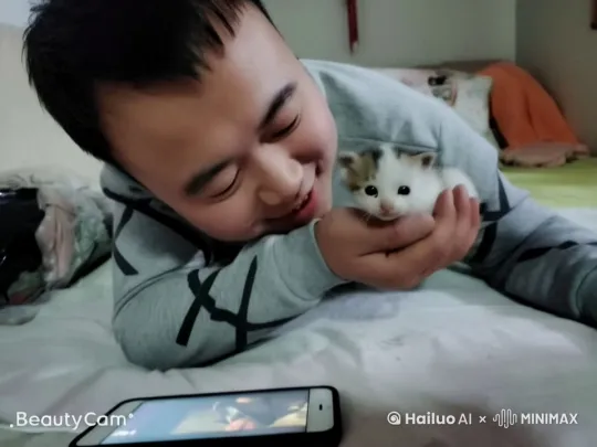 猫猫从手里爬出来了，还晃动着尾巴 by Hailuo AI Video Generator