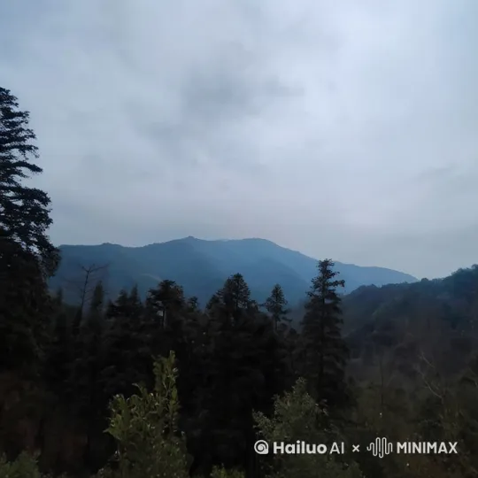  by Hailuo AI Video Generator