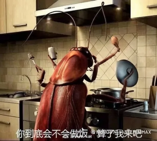 蟑螂在厨房里煮饭，每只手都在忙 by Hailuo AI Video Generator